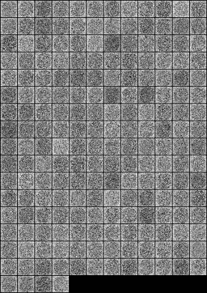 _images/multi_weights.gif